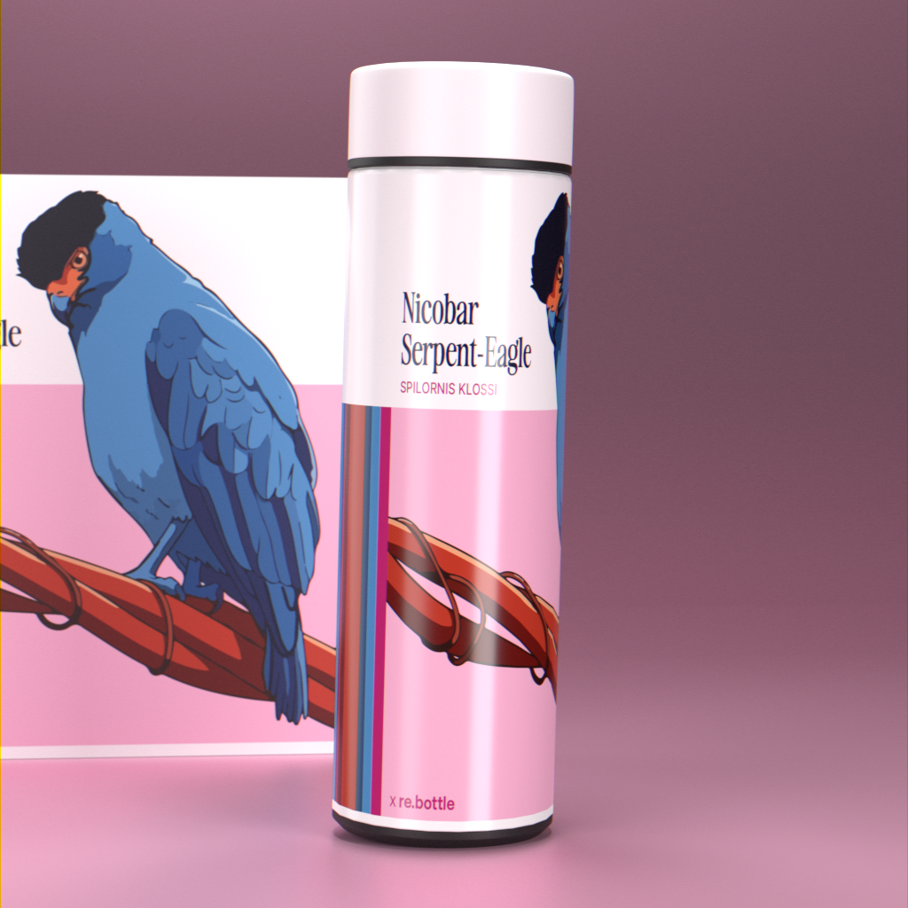 (nicobar eagle)
